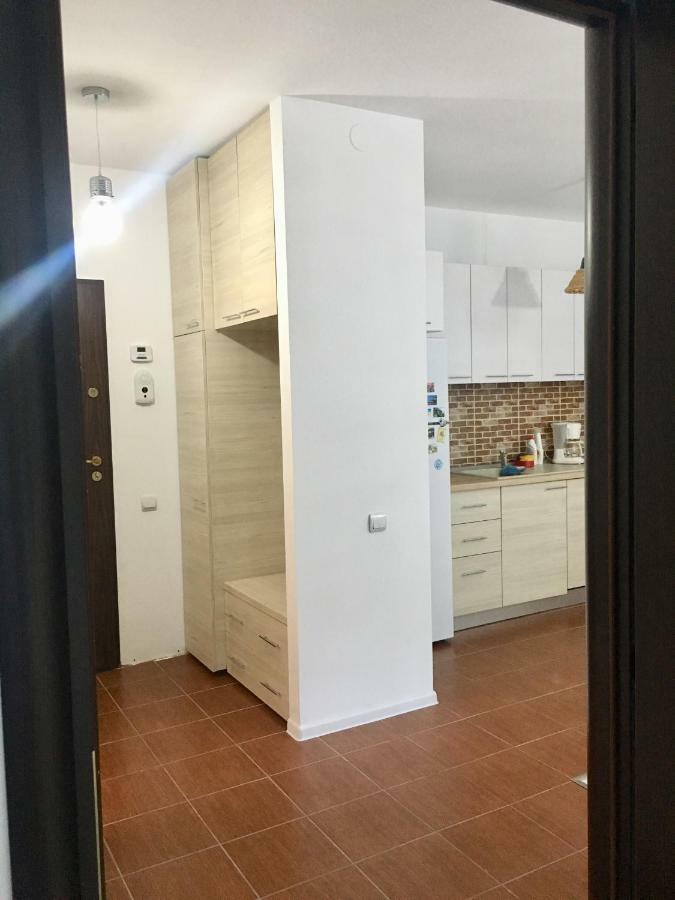 Nature View Apartment Brașov Exterior foto